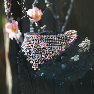 Winter's Bloom