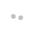Floral Adoration Studs 