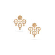 Elegant Mesh Star Earrings,,hi-res 