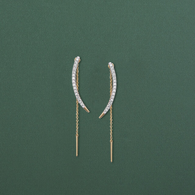 Dazzling Drop Earrings 