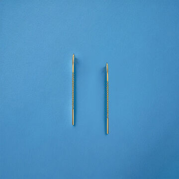 Glamorous Dangling Earrings