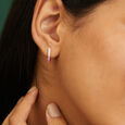 Sleek Ombre Studs 2
