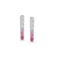 Sleek Ombre Studs 5