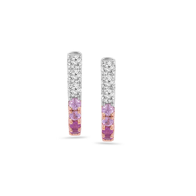 Sleek Ombre Studs 5