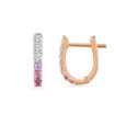 Sleek Ombre Studs 6
