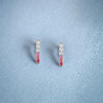 Sleek Ombre Studs 