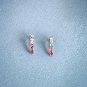 Sleek Ombre Studs