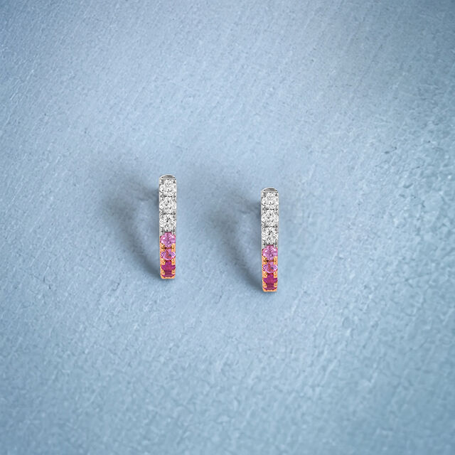 Sleek Ombre Studs 
