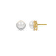 The Sparkling Halo Necklace Set 5