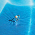 Ocean's Embrace Pearl Ring 