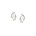 Regal Pearl Stud Earrings 2