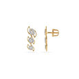 Spiral Elegance Stud Earrings 4