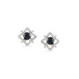 Exquisite Versatile Earrings 5