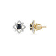 Exquisite Versatile Earrings 7