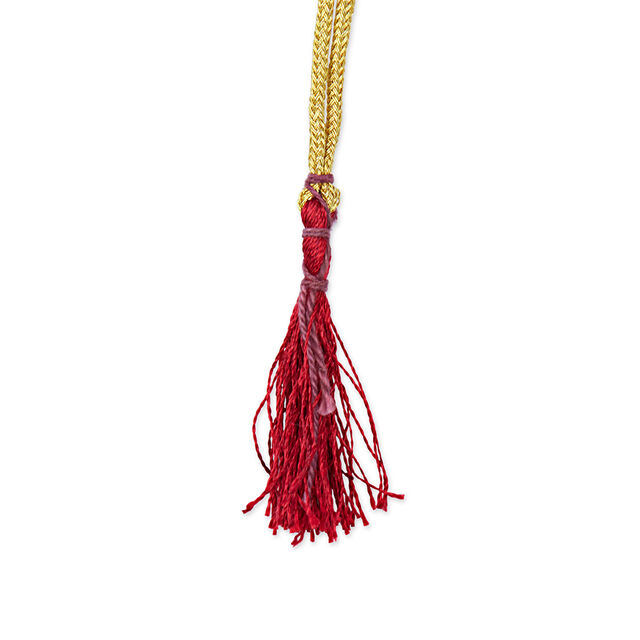 Tanishq 22KT  Gold Necklace Set  for Women 3