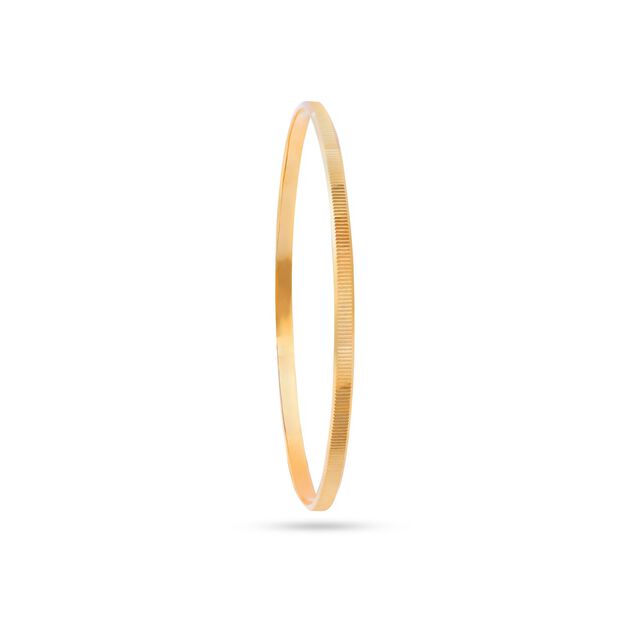 Classic Daily Gold Bangle 2