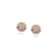 Rose Gold Diamond Stud Earrings,,hi-res 