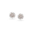 Blossoming Diamonds Stud Earrings,,hi-res 