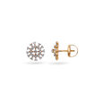 Blossoming Diamonds Stud Earrings,,hi-res 2