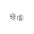 Petals in Grace Gold Stud Earrings,,hi-res 