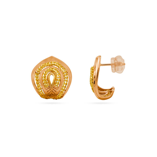 Earrings 2