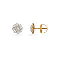 Daisy Dreams Diamond Earrings,,hi-res 2