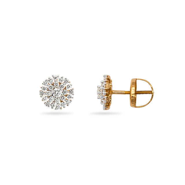 Daisy Dreams Diamond Earrings,,hi-res 2