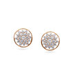 Sunlit Blooms in Rose Gold,,hi-res 