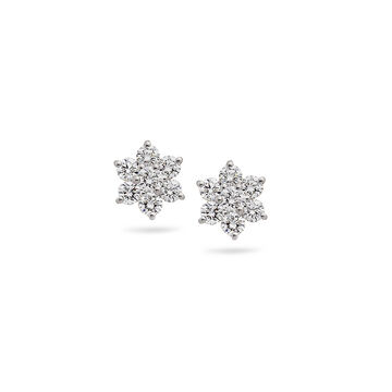 Divine Snowflake Earrings