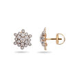 Floral Gold & Diamond Stud Earrings,,hi-res 2