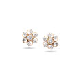 Exquisite Blossom Diamond Earrings,,hi-res 