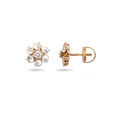 Exquisite Blossom Diamond Earrings,,hi-res 2