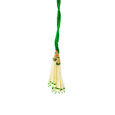Radiant Gold Neckwear 2