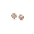 Petal Perfection Diamond Studs,,hi-res 
