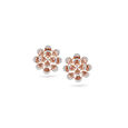 Rose Glow Diamond Studs,,hi-res 