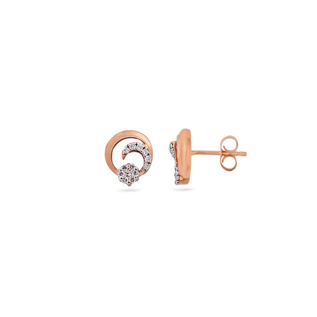 Timeless Floral Symphony Earrings,,hi-res 2
