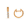 Earrings 2