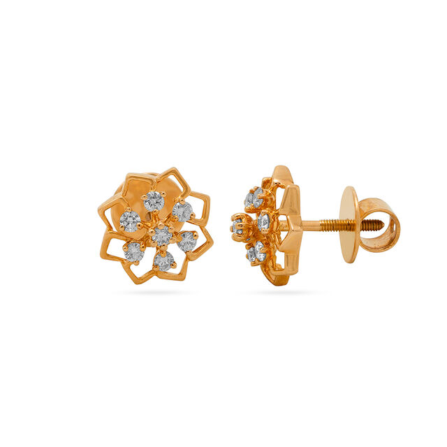Earrings 2