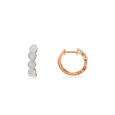 Sparkling Hoop Earrings 4