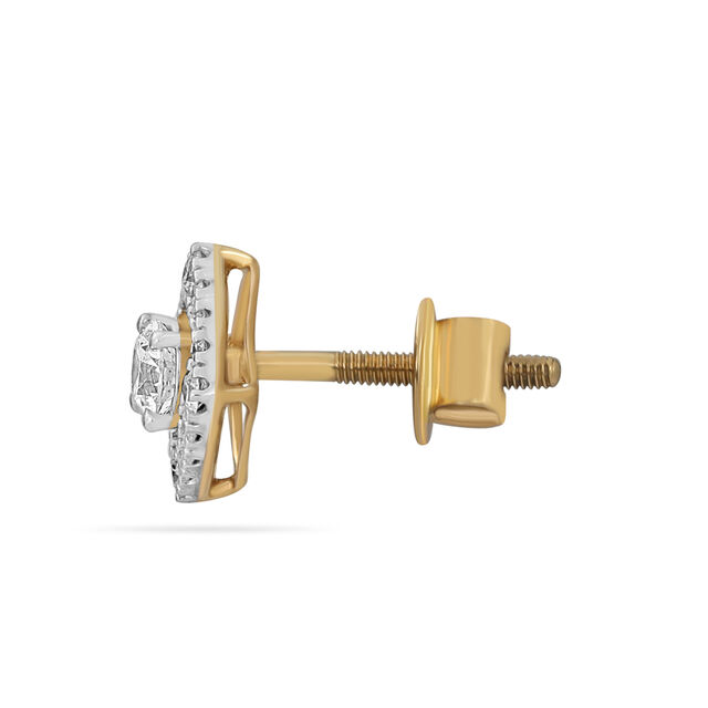 Luxurious Chandelier Diamond Earrings 2