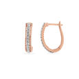 Tanishq 18 Karat Diamond Earrings for Women 2