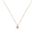 Pendant with Chain 
