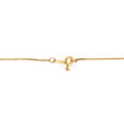 Pendant with Chain 2