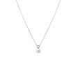 Pendant with Chain 3
