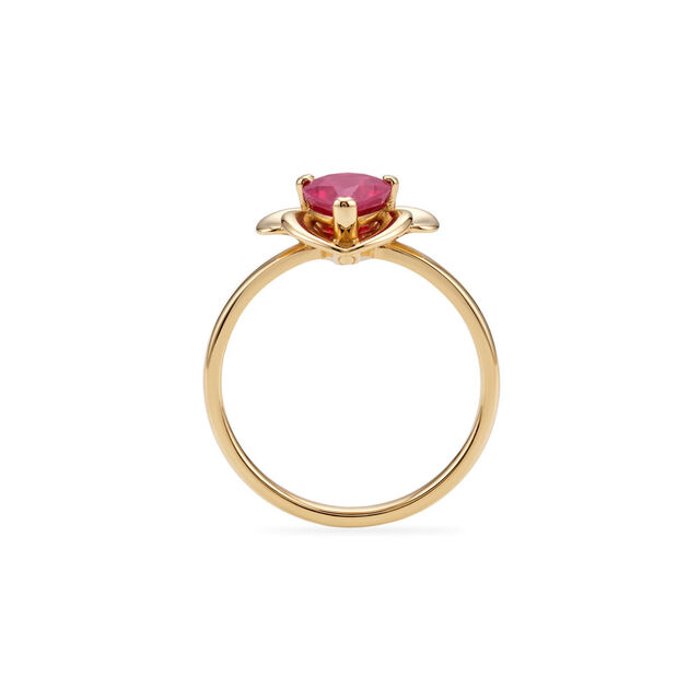 IXC6FBBFINGERRINGIBDCOLOURSTONE2026TDS 3