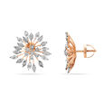 Earrings 2