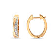 Earrings 2