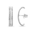 Elegance in Dual-Row Earrings 2