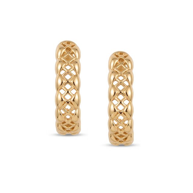 Tanishq 22KT Gold Earrings 