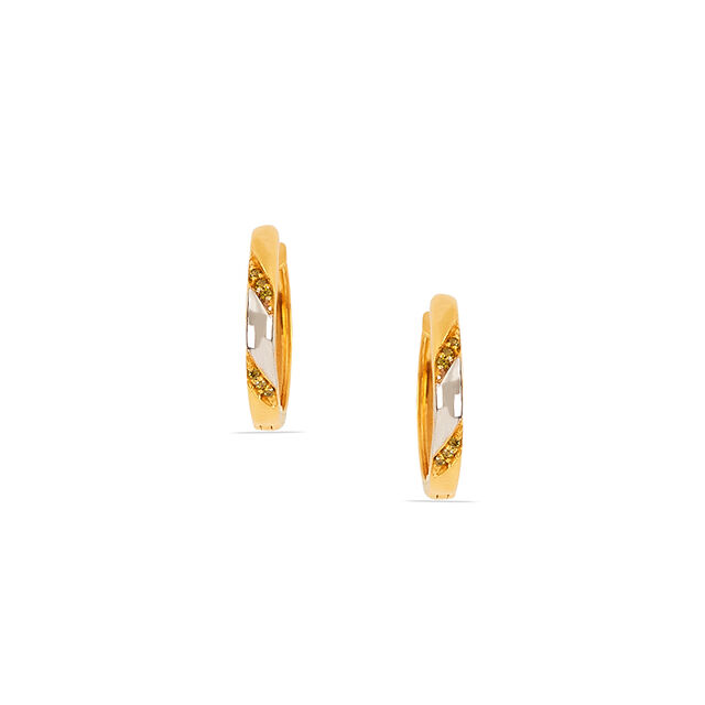 Eternal Gold Hoop Earrings 